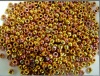 Miyuki Seed 0199 Gold Size 15 11 8   24ct Gold Iris Bead 2g