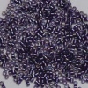 Miyuki Delica DB1756 Purple Size 11 Spk Purple Lined Amethyst AB Bead 5g