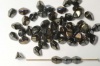 Pinch Brown 5 mm  Jet Brown Iris 23980-21415 Czech Glass Beads x 10g
