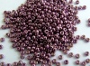 Miyuki Seed 4220 Purple Size 15 11 8 Duracoat Galvanised Eggplant Bead 10g