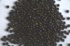 Miyuki Seed 0458 Brown Size 15 11 8 6 Metallic Brown Iris Bead 10g
