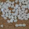 Pinch White 5 mm Chalk White Shimmer 03000-14400 Czech Glass Beads x 10g