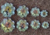 Swarovski  Margarita Flower Clear Crystal Ab 6mm 8mm 10mm 12mm